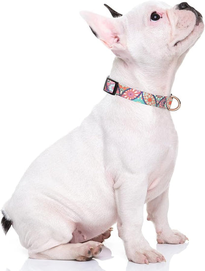 Rnivvi Dog Collar for Small Dogs, Cute Heavy Duty Adjustable Puppy Collar with Quick Release Buckle for Boy Girl & Female, Pet Accessories for Walking Running, S Length 3/4" Width, Beautiful Mandala