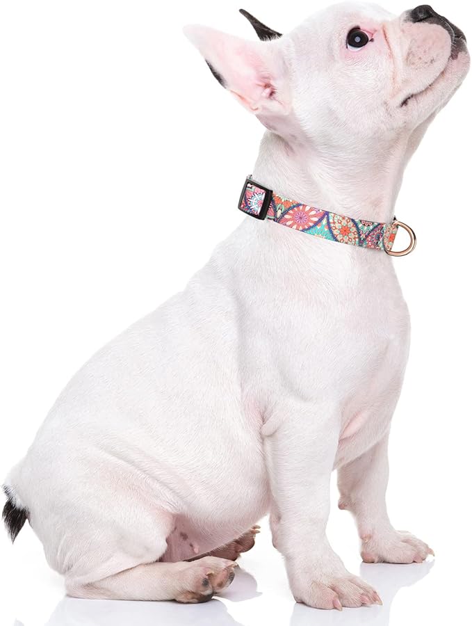 Rnivvi Dog Collar for Small Dogs, Cute Heavy Duty Adjustable Puppy Collar with Quick Release Buckle for Boy Girl & Female, Pet Accessories for Walking Running, XS Length 5/8" Width, Beautiful Mandala