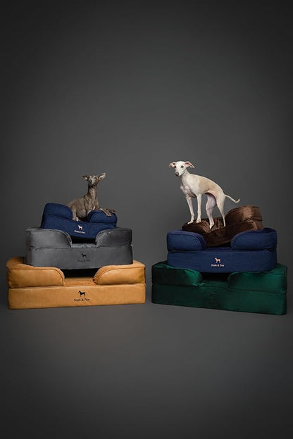 NOAH & PAW Dog Bed, 28x23x7.5 Inch, Orthopedic Dog Beds for Medium Size Pets, Eggshell Memory Foam Infused with Cooling Gel, Waterproof, Machine Washable, Includes Inner Cover (Velvet Collection)