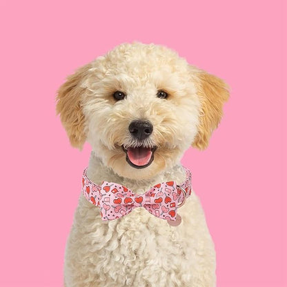 UP URARA PUP Valentine’s Day Dog Collar with Bow Tie, Pink Heart Bowtie Collar with Metal Buckle, Valentine’s Day Gift Pet Collar for Puppy Girl Boy Dog or Cat, Wedding Dog Collar, M, Neck 13.5-22in