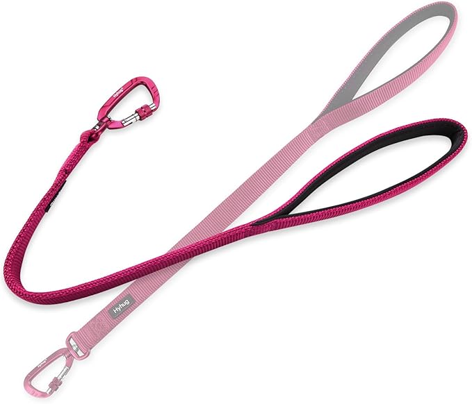 Hyhug Pets 24” Nylon Sturdy Short Leash with Neoprene Soft Handle and Lightweight Aviation Aluminium Clip Lead- for Large Medium Dogs Daily Walking and Training. (24 Inches, Rose Red)