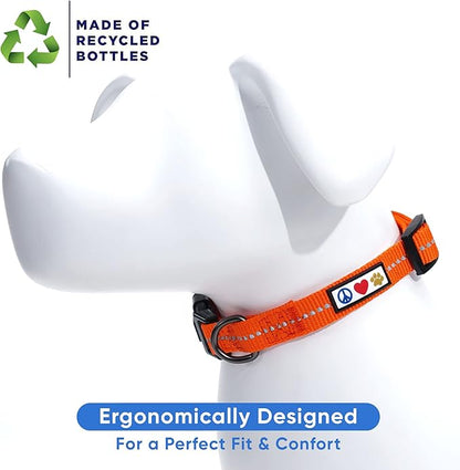 Pawtitas Recycled Dog Collar with Reflective Stitched Puppy Collar Made from Plastic Bottles Collected from Oceans Medium Orange Habanero