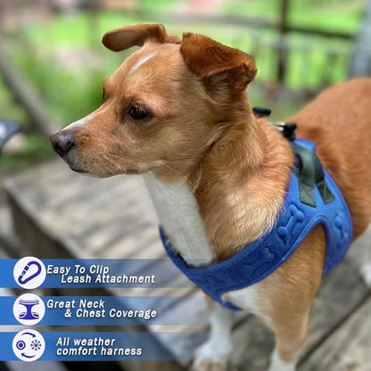 Comfort Fit Dog Harness Soft Padded No Pull Harness with Adjustable Buckles for Small Medium Large Dogs Step in Pet Vest with Easy Control Handle for Walking Jogging Running Training Dogs & Puppies