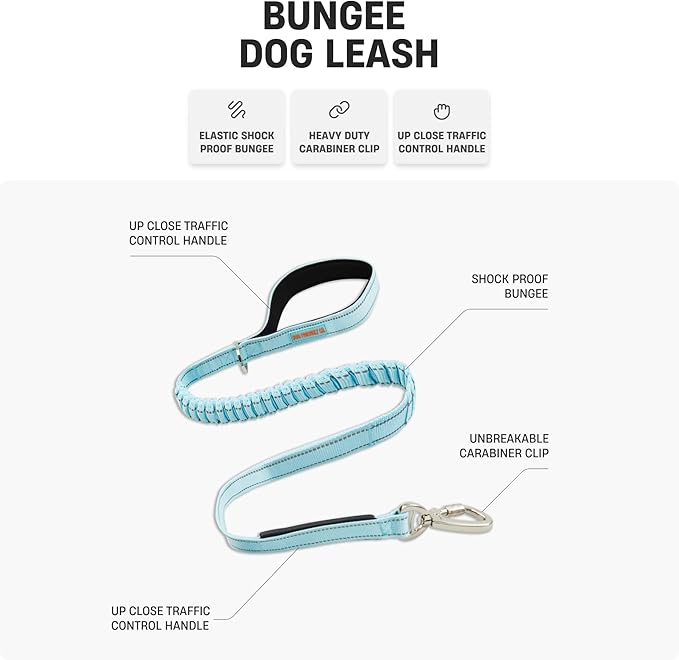 DF Co. Bungee Dog Leash | Strain Free & Shock Resistant for Control | Neoprene Padded Handle, Heavy-Duty Carabiner Clip, and D-Ring | Red, Size Small