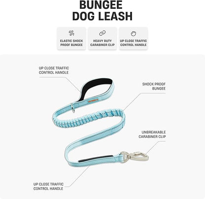 DF Co. Bungee Dog Leash | Strain Free & Shock Resistant for Control | Neoprene Padded Handle, Heavy-Duty Carabiner Clip, and D-Ring | Red, Size Small