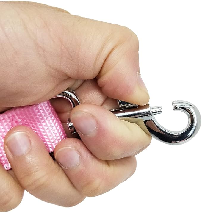 Nylon Dog Training Leash, Traction Rope, 4Ft /5 Foot /6 Feet Long, 3/4 Inch 1 Inch Wide, for Small and Medium Dogs (5/8'' x 6 FT, Pink)