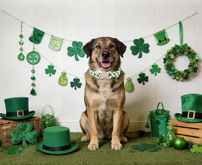 Lionet Paws St. Patrick Dog Collar- Cute Clover White Dog Collars with Plastic Buckle, Light Adjustable Dog Collars with Clover Pendant for Medium Large Dogs