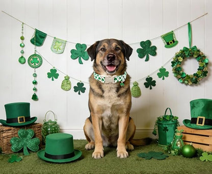 Lionet Paws St. Patrick Dog Collar- Cute Clover White Dog Collars with Plastic Buckle, Light Adjustable Dog Collars with Clover Pendant for Medium Large Dogs
