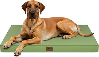 Tail Stories Outdoor Extra Large Dog Bed, Jumbo Waterproof Dog Bed for Large Dogs, Orthopedic Egg Crate Foam Pet Mat with Removable Oxford Cooling Cover, Light Green