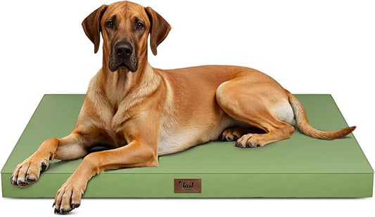 Tail Stories Outdoor Extra Large Dog Bed, Jumbo Waterproof Dog Bed for Large Dogs, Orthopedic Egg Crate Foam Pet Mat with Removable Oxford Cooling Cover, Light Green