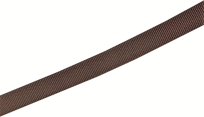 TAIAN 4FT/5FT/6FT Strong Dog Leash, Nylon Dog Leashes for Small Medium Large Dogs (1 in x 5 ft, Brown)