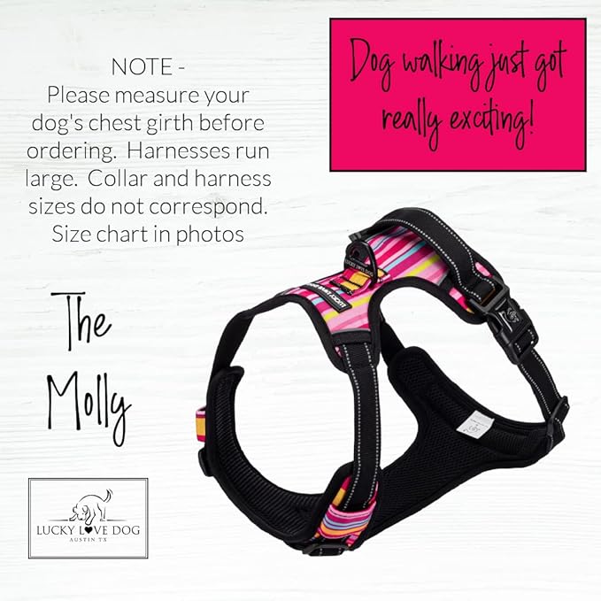 Lucky Love Dog No Pull Dog Harness, Adjustable and Easy to Walk, Cute Patterned Harness for SmallMale & Female Dogs - Molly, Small