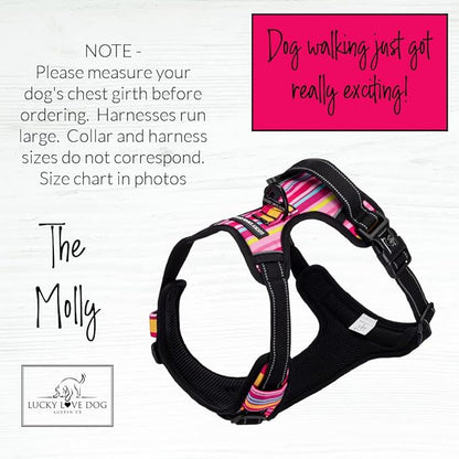 Lucky Love Dog No Pull Dog Harness, Adjustable and Easy to Walk, Cute Patterned Harness for SmallMale & Female Dogs - Molly, Small