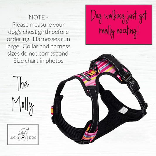 Lucky Love Dog No Pull Dog Harness, Adjustable and Easy to Walk, Cute Patterned Harness for SmallMale & Female Dogs - Molly, Small