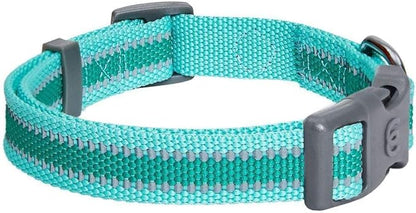 Blueberry Pet Essentials Reflective Adjustable Safety Nylon Dog Collars Medium Size | Reflective Minty Green Dog Collar for Girl and Boy Dogs