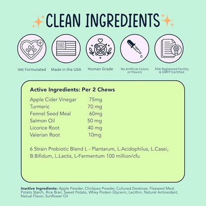 Dog Allergy Relief Chews for Itchy Skin - Stop Paw Licking, Itchy Ears, Support Seasonal Allergy - with Probiotics and Salmon Oil - 120 Count - Bacon Flavor