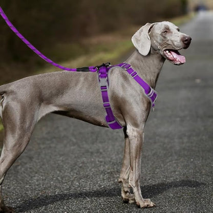 Paawpal Adjustable Dog Harness - No Pull, Reflective, Soft Padded for Small, Medium, Large Dogs - Includes Leash Purple XL