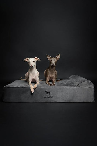 NOAH & PAW Large Dog Bed, 35x25x8.7 Inch, Orthopedic Dog Beds, Eggshell Memory Foam Infused with Cooling Gel, Waterproof, Machine Washable, Includes Inner Cover (Velvet Collection)