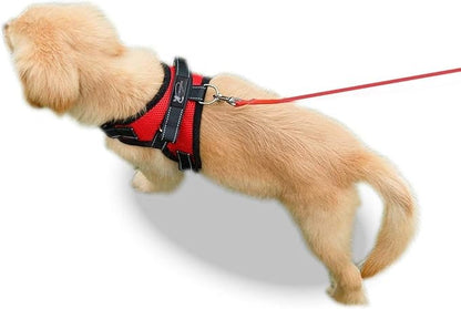 No Pull Reflective Adjustable Dog Harness With Handle- Comfortable Soft All Weather Mesh, Easy On Puppy Harness For Small Medium and Large Dogs (Red) Medium