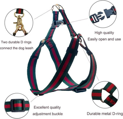 Premium and Stylish Dog Collar Harness and Leash,Soft Comfortable，Chest Adjustable Pet Harness,Luxury Fashion Dog Harness Leashes Set Gift for Medium Dogs