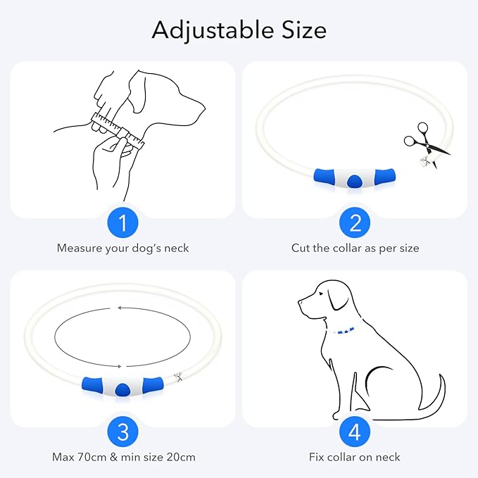 Colaseeme LED Dog Collar, Light Up Dog Collar 1 Count USB Rechargeable TPU Glow Safety Dog Necklace Light, Dog Lights for Small Medium Large Dogs, Please Do Not Use Fast Charging (Blue)