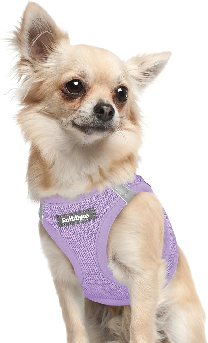 rabbitgoo Small Dog Harness, Step-in Soft Mesh Puppy Vest with Safety Buckle, Breathable Reflective Pet Harness for Extra Small Dogs, Light Purple XXXS