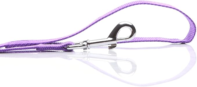Nylon Dog Leash 10 Feet Long, Walking Training Dog Leashes for Medium Large Dogs, 1 Inch Wide (Purple)
