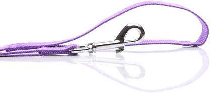Nylon Dog Leash 4 Ft 5 Feet 6 Foot Long, Walking Training Dog Leashes for Medium Large Dogs, 1 Inch Wide(4ft, Purple)