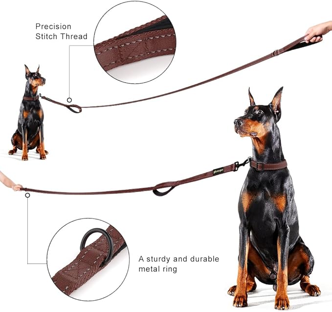 Plutus Pet Double Handle Dog Leash 5ft, Heavy Duty, Reflective Dual Handle Dog Leash for Safety Training, for Medium Large Dogs,2 Handle Leads, Chocolate