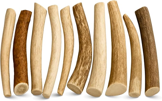 WhiteTail Naturals - Antlers for Small Dogs (10 Pack) Deer Antler Dog Chew Bones for Small Aggressive Chewers - Long Lasting Horn Chew Toys - Naturally Shed