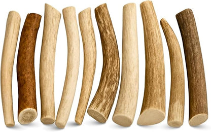 WhiteTail Naturals - Antlers for Small Dogs (10 Pack) Deer Antler Dog Chew Bones for Small Aggressive Chewers - Long Lasting Horn Chew Toys - Naturally Shed