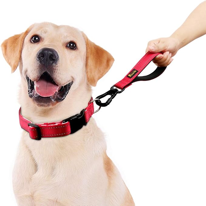 PLUTUS PET 10” Short Dog Leash, Reflective Nylon Padded Handle, Strong Traffic Leash with Carabiner Clip, Perfect for Large or Medium Dogs（10”，Red
