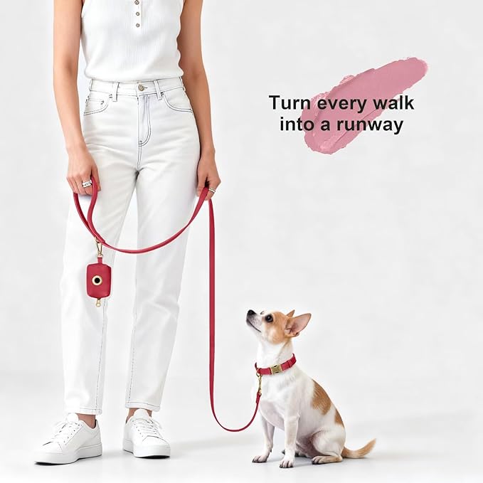 Didog Stylish PU Leather Dog Leash for Small Dogs, Easy to Clean 5ft Small Dog Leash with Metal Tangle-Free Clip, Fashionable and Elegant for Walking, Running and Training,Red, S