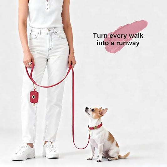 Didog Stylish PU Leather Dog Leash for Small Dogs, Easy to Clean 5ft Small Dog Leash with Metal Tangle-Free Clip, Fashionable and Elegant for Walking, Running and Training,Red, S