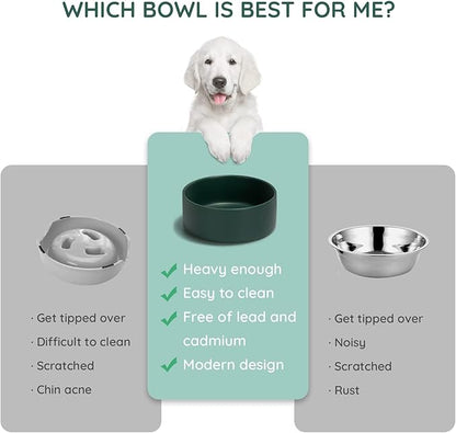 SPUNKYJUNKY 28.7OZ Ceramic Dog and Cat Bowl, Modern Cute Weighted Food Water Bowl for Replacement Green (2 Pack)