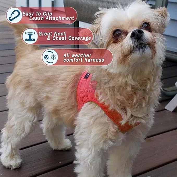 Comfort Fit Dog Harness Small Medium Sized Dogs No Pull Step in Dog Harness with Adjustable Buckles Soft Padded Easy Control Vest Harness Training Walking Running Extra Comfort Inside Velvet Plush