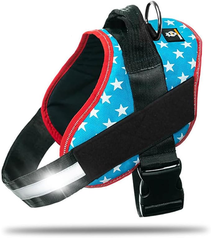DOGGYKINGDOM Non Pull Dog Harness with Patch Panels and Handle, Adjustable, Reflective, No Choke, Heavy Duty Easy On Service Dog Vest Harnesses for Medium Large Small Sized Dogs - Light Blue, XS