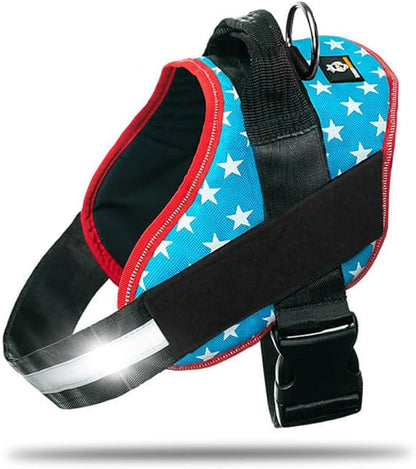 DOGGYKINGDOM Non Pull Dog Harness with Patch Panels and Handle, Adjustable, Reflective, No Choke, Heavy Duty Easy On Service Dog Vest Harnesses for Medium Large Small Sized Dogs - Light Blue, XS