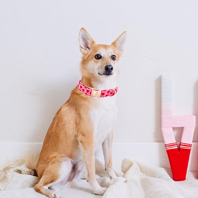 Lionheart glory Valentine Collar, Red Hearts Dog Collars for Medium Cute Dog Collars Spring Female Pet Gift Adjustable Heavy-Duty Dog Collar Holiday