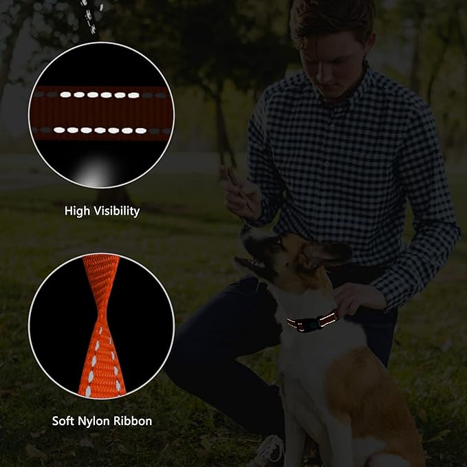 Martingale Dog Collar and Leash Set Martingale Collars for Dogs Reflective Martingale Collar for Small Medium Large Dogs(Orange&S)