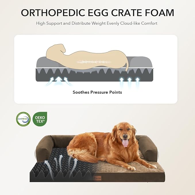 Casa Paw Orthopedic Dog Beds for Extra Large Dogs, Waterproof Egg Crate Foam XL Dog Bed with Sides 48x30Inch, Big Dogs Couch Beds with Removable Washable Cover and Nonskid Bottom, Brown