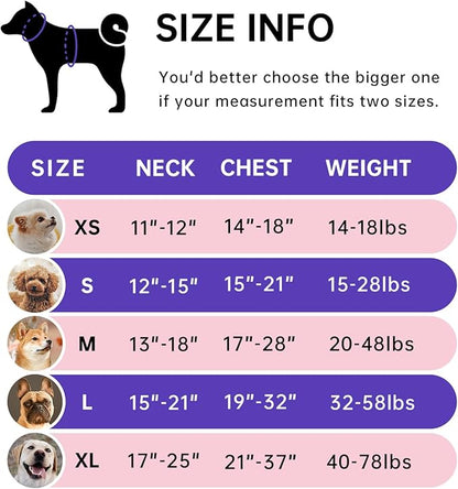 IVY&LANE No Pull Dog Harness for Large Dogs, Dog Vest Harness with Leash, Safety Belt and Storage Strap, Fully Adjustable Harness, 360° Reflective Strip, Soft Handle (Purple, XL)