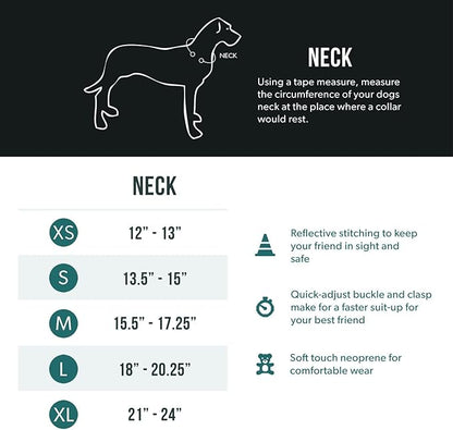 EzyDog Neo Dog Collar - Waterproof & Reflective Dog Collar with Soft Padded Neoprene for Comfort & Durable Nylon – Features Quick Release Buckle and Built-in ID Clip (Small, Orange)