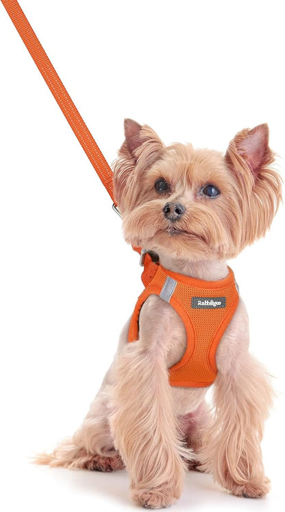 rabbitgoo Dog Harness Small Sized and Leash Set, Step in Soft Light Puppy Vest, Breathable Mesh Pet Harness, Reflective for Safe Easy Walking, Orange XXS