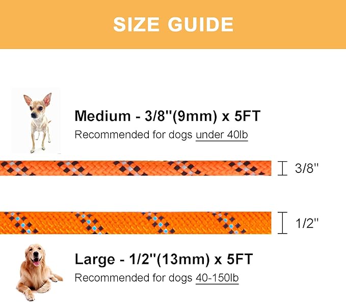 5 FT Slip Lead Dog Leash, Heavy Duty Rope Leash for Small Medium Large Dogs, No Pull Training Lead with Reflective Thread, Strong Comfortable Loop Leash (Orange Stripe, Large(1/2"))