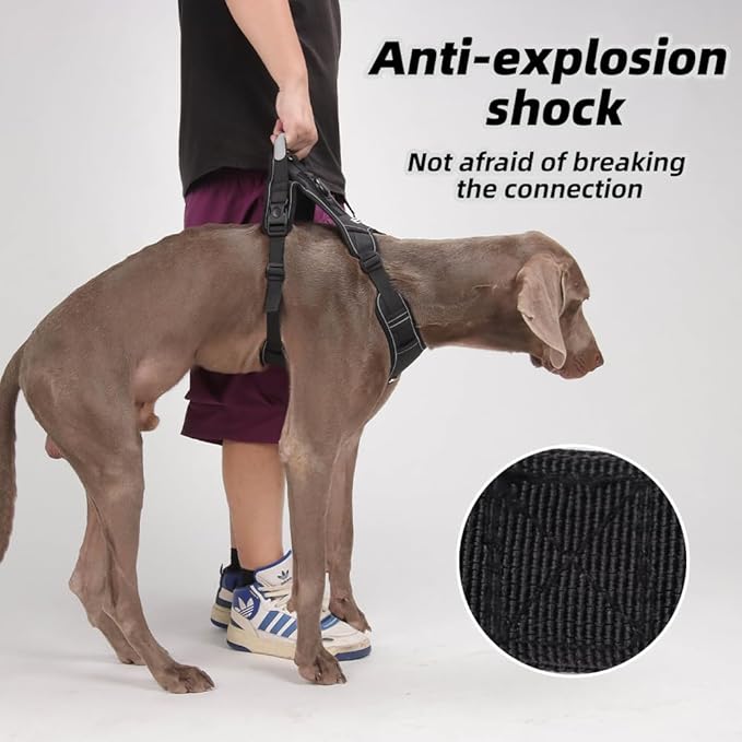 Airtag Dog Harness Chest Plate Reflective No Pull Harness with Leash for Extra Large Dogs (Black, L)