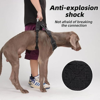 Airtag Dog Harness Chest Plate Reflective No Pull Harness with Leash for Extra Large Dogs (Black, M)