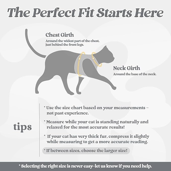 rabbitgoo Cat Harness and Leash Set for Walking Escape Proof, Adjustable Soft Kittens Vest with Reflective Strip for Cats, Comfortable Outdoor Vest, Grey, M