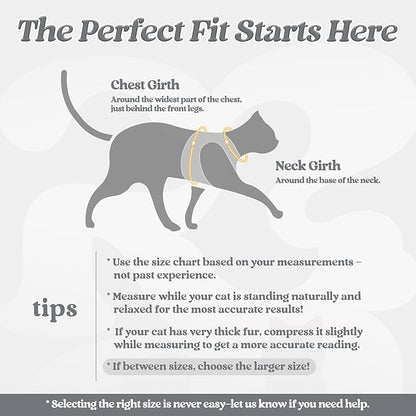 rabbitgoo Cat Harness and Leash Set for Walking Escape Proof, Adjustable Soft Kittens Vest with Reflective Strip for Cats, Comfortable Outdoor Vest, Grey, M