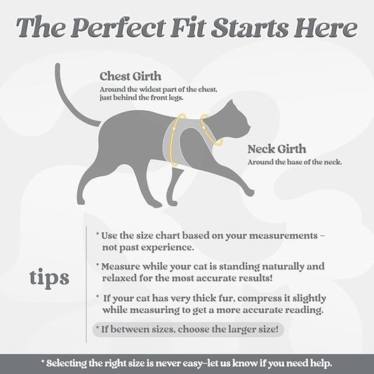 rabbitgoo Cat Harness and Leash Set for Walking Escape Proof, Adjustable Soft Kittens Vest with Reflective Strip for Cats, Comfortable Outdoor Vest, Grey, M